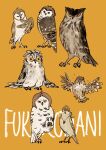  akaashi_keiji animal animalization bird bokuto_koutarou character_request check_character chengongzi123 colored_sclera flying food haikyuu!! highres holding holding_food jewelry komi_haruki konoha_akinori looking_at_viewer magatama magatama_necklace necklace onigiri orange_sclera owl pendant shirofuku_yukie simple_background standing suzumeda_kaori washio_tatsuki yellow_background yellow_sclera 