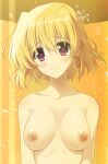  1girl blonde_hair blush breasts closed_mouth earrings endori highres jewelry large_breasts looking_at_viewer lyrical_nanoha mahou_shoujo_lyrical_nanoha_strikers nipples nude purple_eyes shamal short_hair smile solo stasis_tank upper_body 