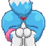 2024 anus aztepyeen balls blue_body blue_fur blue_tail clothing digital_drawing_(artwork) digital_media_(artwork) fennekin fur generation_6_pokemon genitals multicolored_body multicolored_fur nintendo pink_clothing pixel_(artwork) pokemon pokemon_(species) rear_view tail two_tone_body two_tone_fur two_tone_tail white_balls white_body white_fur white_tail