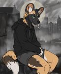 african_wild_dog anthro atlasimperial black_body black_fur bottomwear brown_body brown_fur canid canine cigarette city city_background city_ruins clothing dipstick_tail duo fur green_eyes hi_res male mammal markings ruins shorts tail tail_markings white_body white_fur