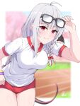  1girl ahoge black-framed_eyewear blue_archive braid breasts buruma eyewear_on_head glasses grey_hair gym_uniform haruna_(blue_archive) large_breasts long_hair looking_at_viewer neko_reina red_buruma red_eyes shirt side_braid signature smile solo white_shirt 