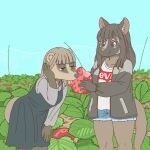 1:1 anthro badger civet clothed clothing duo eating ekaki510 female food fruit japanese_badger kemono mammal masked_palm_civet meles mustelid musteline palm_civet plant strawberry viverrid