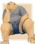  2022 anthro bodily_fluids bottomwear brown_body brown_fur bulge canid canine canis clothed clothing domestic_dog erection erection_under_clothing fur genital_fluids hi_res kemono male mammal minamiyaxx overweight overweight_male precum shirt shorts sitting solo topwear 
