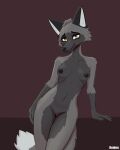 4:5 anthro black_body black_ears black_fur black_nipples black_nose breasts canid canine female fox fur genitals grey_body grey_fur hi_res mammal nipples nude pussy red_fox reiden silver_fox solo tail true_fox yellow_eyes