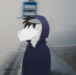  2022 anthro blurred_background brambasiel bus_stop canid canine canis clothed clothing fog foggy fur grey_body grey_fur half-length_portrait hi_res hoodie male mammal portrait solo topwear wolf 