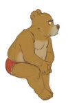  2022 anthro brown_body clothing guaxraccoon humanoid_hands male mammal nipples sitting slightly_chubby solo underwear ursid 