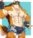 abs anthro barrel_(live_a_hero) blep bottomwear brown_body brown_fur bulge canid canine canis clothing fingerless_gloves fur gloves handwear hi_res kemono lifewonders live_a_hero male mammal muscular muscular_anthro muscular_male nipples one_eye_closed pecs shorts siro_zamurai05 solo standing teasing tongue tongue_out wink wolf