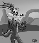 anthro biped butt canid canine canis countershading coyote desert draconis0868 greyscale looking_at_viewer looking_back looney_tunes male mammal monochrome nude raised_tail rear_view smile smirk solo tail warner_brothers wile_e._coyote