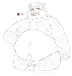  2022 96panda anthro balls belly big_belly flaccid genitals giant_panda hi_res hybrid kemono male mammal moobs navel nipples overweight overweight_male penis small_penis solo suid suina sus_(pig) ursid wild_boar 