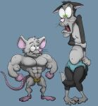 anthro comparing domestic_cat duo embarrassed felid feline felis growth humiliation luxley male male/male mammal mouse murid murine muscle_growth muscle_mouse muscle_size_difference muscular muscular_male rodent role_reversal short_stack size_difference size_play smaller_male surprised_expression