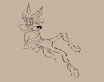 3_toes 4_fingers abs anthro arm_tuft bedroom_eyes bent_knees bent_legs biped black_eyes black_nose calf_tuft canid canine canis chest_tuft claws coyote detailed digital_drawing_(artwork) digital_media_(artwork) elbow_tuft featureless_crotch feet fingers glance grin grinning_at_viewer half-closed_eyes hand_on_head hi_res humanoid_hands knee_tuft knee_up leg_tuft line_art looking_at_viewer looney_tunes lying male mammal monochrome narrowed_eyes navel nude paws pecs pinup plantigrade pose raised_heel ribs seductive sepia shoulder_tuft sitting sketch smile smiling_at_viewer smirk smirking_at_viewer smug smug_expression smug_eyes smug_face smug_grin solo stevethedragon toe_claws toes tuft vein warner_brothers wile_e._coyote