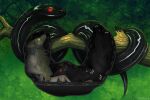  black_body black_fur bodily_fluids branch canid canine canis digestion digital_media_(artwork) feral fur group hellezra hi_res latex leaf male male/male mammal oily red_eyes reptile scalie simple_background size_difference snake tail teeth trio vore wolf 