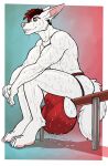  anthro balls big_balls big_bulge bodily_fluids bulge canid canine clothing ear_piercing facial_piercing flit genitals hi_res huge_balls jockstrap lip_piercing male mammal nose_piercing piercing side_balls sitting solo sweat underwear 