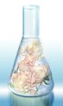  1girl akakokko_(niro_azarashi) birdmen blonde_hair closed_eyes closed_mouth collarbone completely_nude flower highres in_container in_water long_hair navel nude rose rose_(birdmen) tiny white_flower white_rose 