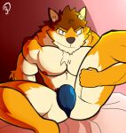  2022 anthro barrel_(live-a-hero) biceps brown_body brown_fur bulge canid canine canis chest_tuft clothing digital_drawing_(artwork) digital_media_(artwork) fur hi_res lifewonders live-a-hero looking_at_viewer makidotsukashi male mammal muscular muscular_anthro muscular_male nipples pecs smile smirk solo tuft underwear video_games wolf yellow_body yellow_fur 