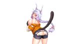  1girl animal_ears braid cat_ears cat_girl cat_tail crackle_(taimanin) nipples nobushito non-web_source red_eyes tail taimanin_(series) taimanin_rpgx white_hair 