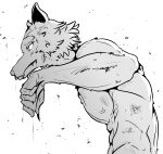  absurd_res anthro beastars canid canine canis furry_bb greyscale hi_res legoshi_(beastars) male mammal monochrome muscular muscular_male scar solo wolf 