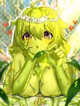  1girl bikini bikini_top_only breasts brown_eyes character_request cleavage colored_skin flower green_hair green_skin hair_between_eyes hair_flower hair_ornament head_rest head_wreath heart highres holding holding_leaf junkpicture large_breasts leaf long_sleeves looking_at_viewer lying monster_girl monster_musume_td on_stomach rin_(monster_musume_td) slime_girl swimsuit wet 