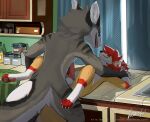 anal anal_penetration anthro canid canine dilres_(foxixus) drazerk duo fluffy fox genitals hi_res ixunsfw male male/male mammal penetration penis rikkun sex smile smirk