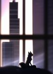  anthro canid canine fox fur h56_(hikkoro) light male mammal red_eyes shadow sitting skyscraper solo sunset window 