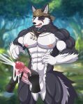  anthro black_body black_fur canid canine canis domestic_dog fur genitals hi_res husky kemo_coliseum male mammal muscular muscular_anthro muscular_male nipples nordic_sled_dog penis solo spitz vein veiny_penis volga white-snow-wolf white_body white_fur 