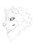  anthro canid canine facial_markings frown head_markings headshot_portrait heylaw21 lifewonders live-a-hero male mammal markings neck_tuft portrait sadayoshi sketch solo tuft video_games 