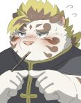  2022 anthro biped blush clothed clothing felid food hi_res humanoid_hands kemono licho_(tas) lifewonders mammal pantherine pocky ptcmtr solo tiger tokyo_afterschool_summoners video_games white_body 