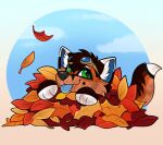  anthro archie_(thearchiefox) blep canid canine eyewear eyewear_on_head fluffy fluffy_tail fox goggles goggles_on_head leaf looking_aside male mammal rindeadsong smile solo tail tongue tongue_out 