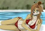  big_breasts bikini black_pupils breasts canid canine clothing elisabeth_(eipril) female fox fur green_eyes hair hi_res long_hair mammal pupils solo spike_the_furry swimwear tan_body tan_fur 