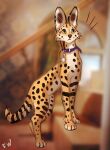  2022 ambiguous_gender blurred_background collar digital_media_(artwork) felid feline feral fur mammal orange_body orange_fur serval solo spots spotted_body spotted_fur 