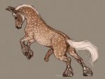  2022 4:3 anatomically_correct anatomically_correct_anus anatomically_correct_genitalia anatomically_correct_penis animal_genitalia animal_penis anus asinus balls dappled_fur digital_media_(artwork) donkey draft_mule equid equine equine_anus equine_penis feathering feral fur genitals hair hooves horse hybrid long_ears looking_at_viewer looking_back male mammal mane mule on_hind_legs penis raised_tail scarlanya simple_background skugga_(skuggamul) smile smirk solo white_hair white_mane white_tail 