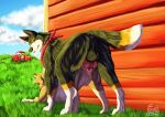  absurd_res building canid canine canis car collie domestic_dog duo farm female fenris64 feral feral_on_feral fur gamila_(the_secret_life_of_pets) grass herding_dog hi_res illumination_entertainment male male/female mammal pastoral_dog plant rooster_(the_secret_life_of_pets) shaded sheepdog soft_shading the_secret_life_of_pets vehicle wall_(structure) welsh_sheepdog wolf wood wood_wall 
