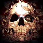  1boy berserk commentary commentary_request eyelashes facing_viewer flower highres leaf male_focus nisino2222 petals plant red_flower red_rose rose skull skull_knight_(berserk) solo teeth vines 