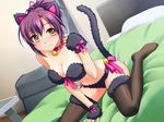  1girl animal_ears bed blush breasts cat_ears cat_tail costume game_cg ginta gloves indoors purple_hair ribbon sitting smile solo sugar_+_spice tail thighhighs yellow_eyes 