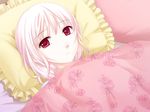  1girl amanatsu bed game_cg ginta lying misonogi_sakurako pink_hair red_eyes solo tears under_covers 