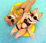  anthro bikini candy canid canine canis clothing dessert domestic_dog duo dxxk fan_character female female/female food hi_res inku_the_shiba_inu lollipop mammal pool sega shiba_inu sonic_the_hedgehog sonic_the_hedgehog_(series) spitz swimwear thick_thighs water 