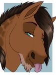  3:4 ambiguous_gender beard blue_eyes brown_body brown_hair brown_mane candymare digital_media_(artwork) dolero equid equine eyebrows facial_hair feral hair horse looking_at_viewer mammal mane simple_background solo tongue tongue_out 