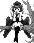  1girl absurdres bare_tree bird_wings closed_mouth full_body hat high_contrast highres looking_at_viewer monochrome neophyte outdoors pointy_ears pom_pom_(clothes) shameimaru_aya short_hair simple_background sitting_on_branch smile solo thighhighs tokin_hat touhou tree wings 