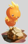  absurdres ame_akira animal_focus bird chick closed_mouth commentary_request grey_background highres looking_down no_humans pokemon pokemon_(creature) rock solo standing torchic 