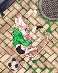 animancer ball bottomwear clothing dipodid fur green_eyes heart_symbol hi_res hoodie jerboa luck_(animancer) mammal moss paws plant rodent shorts soccer_ball topwear white_body white_fur