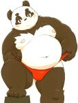  2022 anthro belly big_belly black_body black_nose blush bulge clothing giant_panda kemono male mammal meg_hoi moobs navel nipples overweight overweight_male solo underwear ursid white_body 
