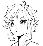  1boy closed_mouth commentary_request dot_nose frown greyscale hair_intakes link long_pointy_ears looking_at_viewer male_focus monochrome parted_bangs pointy_ears portrait simple_background solo teto_ten the_legend_of_zelda the_legend_of_zelda:_breath_of_the_wild white_background 