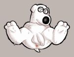abstract_background anthro anus black_nose bodily_fluids brian_griffin canid canine family_guy feet flaccid foot_focus foreskin genitals grey_background hhbrother humanoid_feet humanoid_genitalia humanoid_penis long_foreskin looking_at_viewer male mammal penis plantigrade simple_background sitting slightly_chubby slightly_chubby_male smile solo sweat sweaty_feet unretracted_foreskin