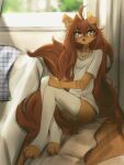 2025 3:4 4_toes 5_fingers anthro apogee_(tinygaypirate) arm_tattoo bed brown_eyes brown_hair brown_tail canid canine canis claws clothed clothed_anthro clothed_female clothing countershade_torso countershading day digital_media_(artwork) domestic_dog ear_piercing feet female fingers front_view fur furniture gauged_ear hair hi_res inner_ear_fluff inside jewelry legwear long_hair long_tail looking_at_viewer mammal neck_tattoo necklace one_ear_up panties pantsless pantsless_anthro pantsless_female partially_clothed partially_clothed_anthro partially_clothed_female piercing pillow shirt sitting solo t-shirt tail tan_body tan_fur tattoo thigh_highs tinygaypirate toe_claws toeless_thigh_highs toes topwear tuft underwear window
