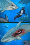 canid canine canis eyewear fish goggles hi_res internal macro madaraoluv2 male mammal marine micro naha_draw organs scuba sea shark stomach underwater vore water wetsuit wolf