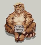  anthro blonde_hair brown_body brown_fur brown_stripes felid full-length_portrait fur glistening glistening_eyes grey_background hair hi_res holding_object holding_sign laser_(artist) looking_at_viewer male mammal markings mouth_closed muscular muscular_anthro muscular_male nipples pantherine pawpads portrait red_nipples red_pawpads sign signature simple_background sitting solo striped_arms striped_legs striped_markings striped_tail stripes tail_markings tan_body tan_fur tiger whiskers 