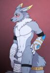 animal_genitalia annairu balls bandai_namco canid canine digimon fakemon fox genitals hi_res magi_the_kitsumon magic_user mammal nude sheath solo