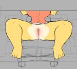  animal_crossing anthro big_breasts blonde_hair breasts canid canine canis clothed clothing desk domestic_dog first_person_view fur furniture genitals hair hi_res isabelle_(animal_crossing) mammal nintendo office oliversart pussy shih_tzu table toy_dog under_table video_games yellow_body 