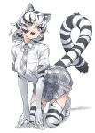  1girl animal_ear_fluff animal_ears animal_print blue_eyes commentary_request extra_ears gloves grey_skirt highres kemono_friends kneeling looking_at_viewer medium_hair necktie open_mouth plaid_clothes plaid_necktie plaid_sleeves print_thighhighs shirt skirt solo striped_tail tail tanabe_(fueisei) teeth thighhighs tiger_ears tiger_girl tiger_print tiger_tail upper_teeth_only white_gloves white_hair white_shirt white_thighhighs white_tiger_(kemono_friends) white_tiger_print 