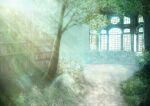  abandoned bookshelf chinese_commentary commentary_request day indoors light_rays mixed-language_commentary nature no_humans original overgrown plant scenery sunbeam sunlight tree window zaq_(pgvc4472) 